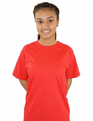 Newstead Wood House T-Shirt - Red